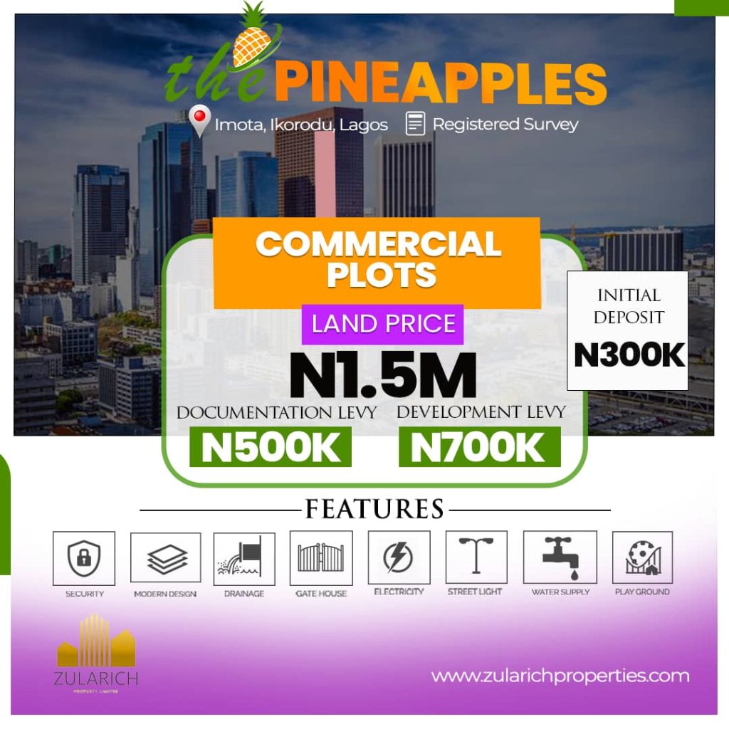 Commercial plot of pineapple estate