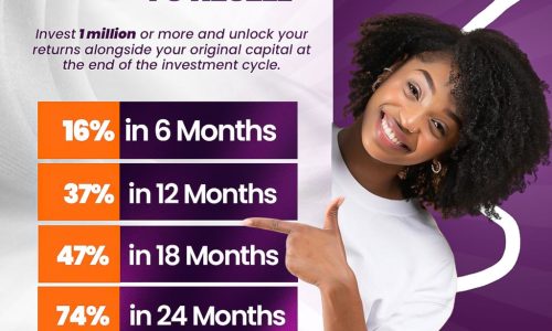 Land investment with ₦1 million